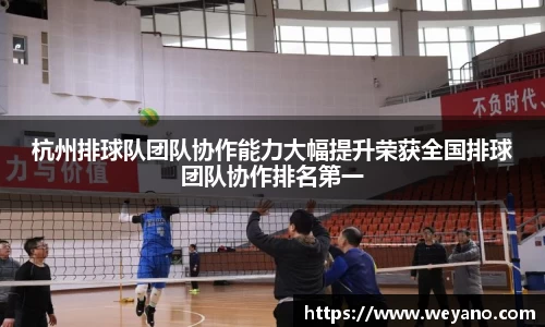 杭州排球队团队协作能力大幅提升荣获全国排球团队协作排名第一